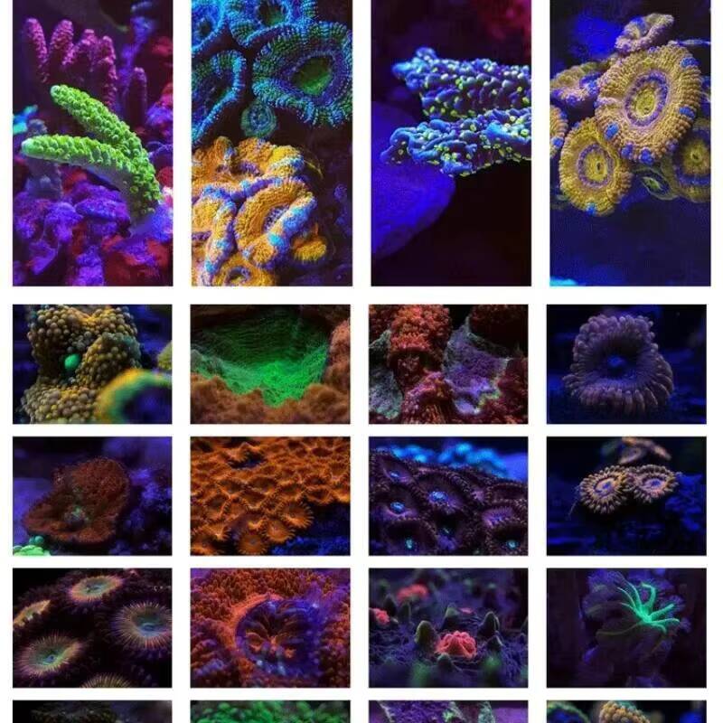 مجموعة فلاتر 6 في 1 مقاس 37 مم - مراجعة Photography Mobile Lighting وسعره